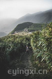 钓鱼台茶叶礼盒套装，钓鱼台茶叶是哪里生产的