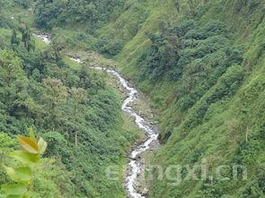 筠连茶叶，筠连茶叶专合社