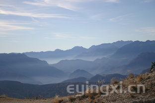 武夷山景区茶叶怎么样，武夷山进茶叶