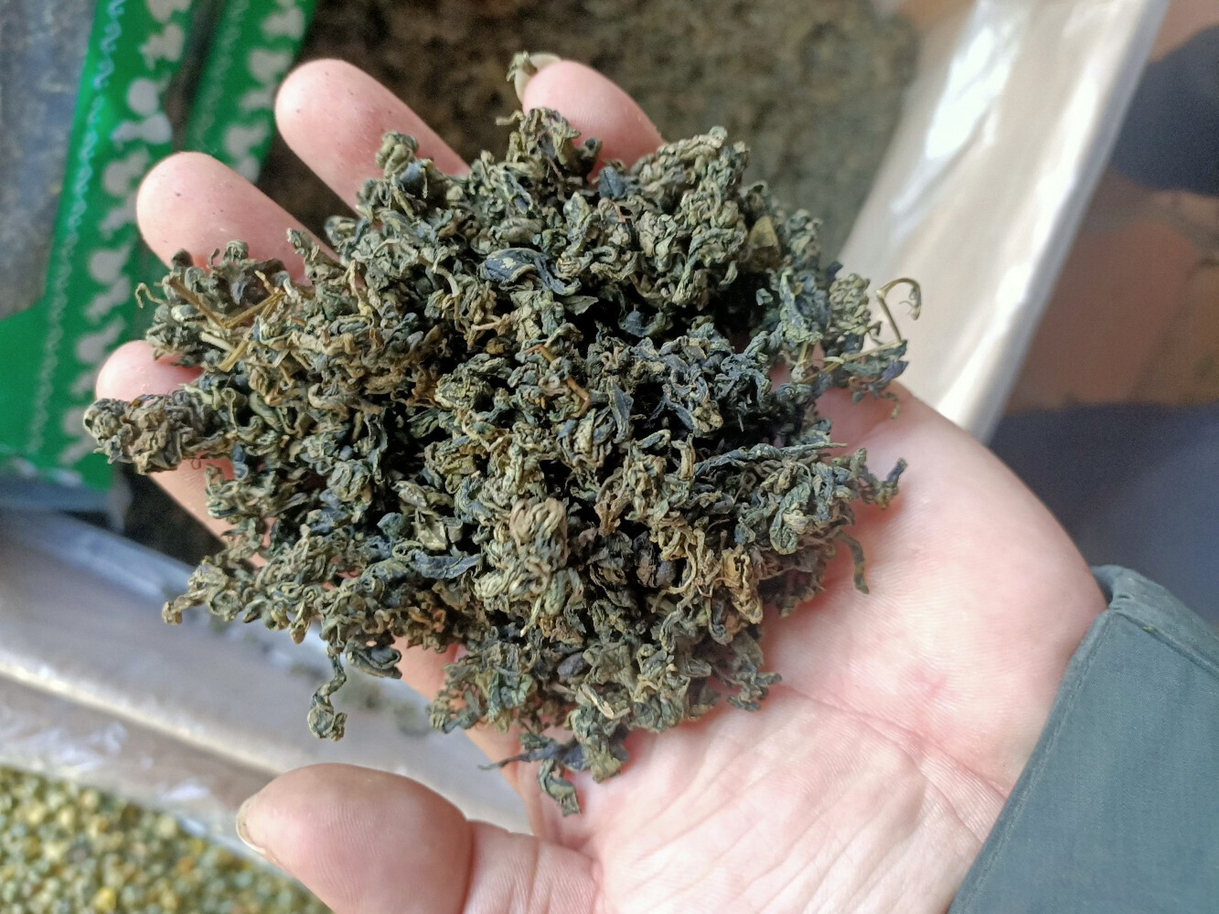 绞股蓝茶的功效与作用百度百科，绞股蓝茶的功效与作用