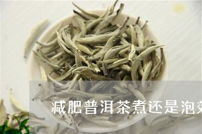 减肥普洱茶，减肥普洱茶什么牌子好